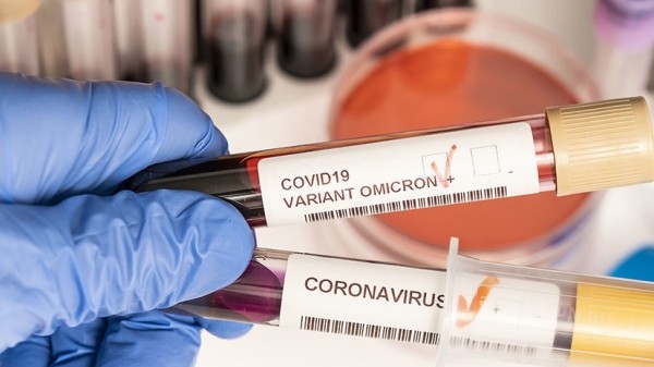 Новые случаи и закрытие границ: что известно о распространении штамма «омикрон»